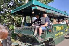 IMG-20260624-WA0010